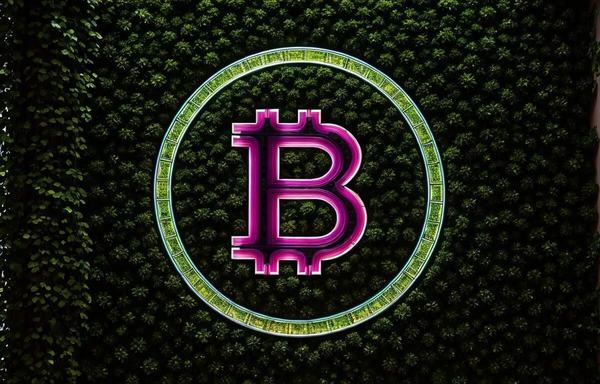 NATを解析：再びビットコインエコシステムを爆発させる万倍マーキング