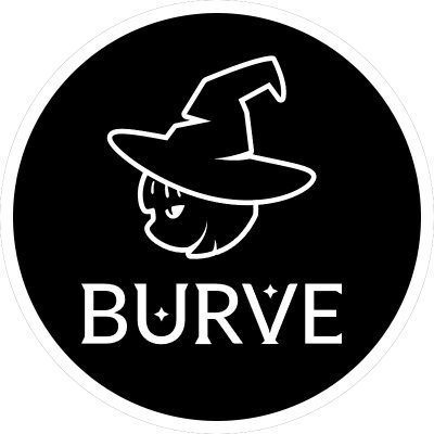 牛市來襲,普通投資者如何通過 Burve Protocol 發現Alpha 項目