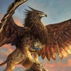Griffin Ardern
