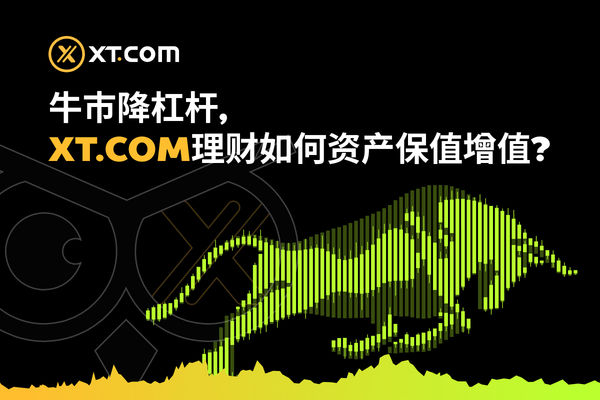 牛市降杠杆，XT.COM 理财如何资产保值增值？