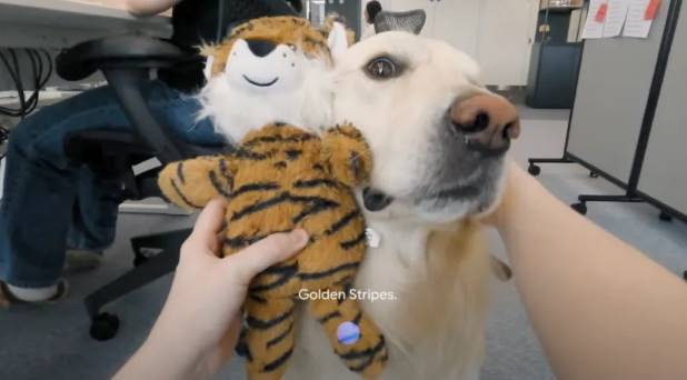 Hier soir, Google a lancé son « super pack complet d'IA », mais sa plus grande innovation a été contrée par OpenAI