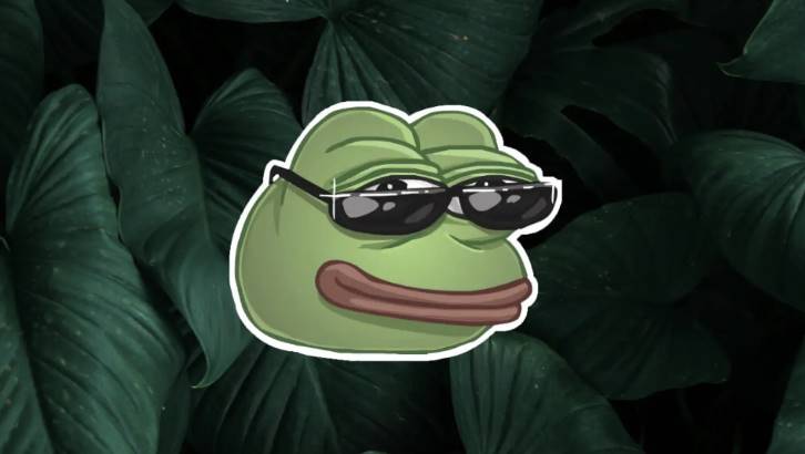 鏈上聰明錢追蹤:10 大 Meme 幣 PVP 高手地址及其戰績