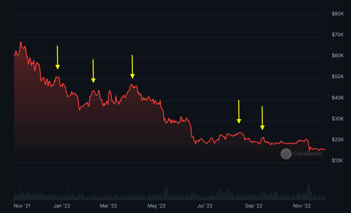 The bull market will not disappear until you no longer believe that this is a bull market.