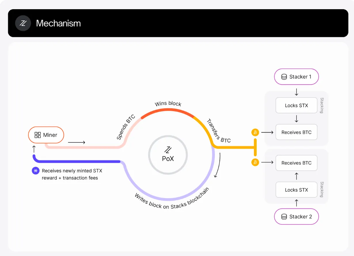 The history of Bitcoin’s “layering”: from isolated islands of value to interconnectedness