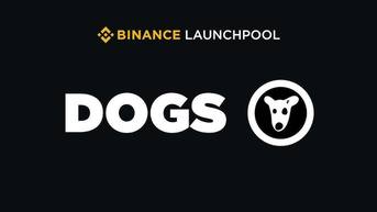 DOGS 空投在即，详解代币经济学及最新动态