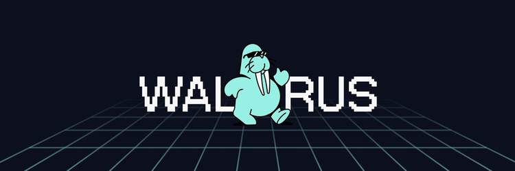 解讀 Walrus,Sui 的去中心化存儲新解