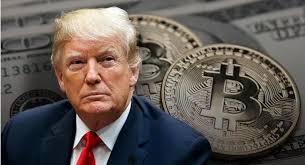 「トランプ取引」が流行し、暗号資産の資金はどこへ流れたのか?
