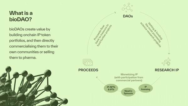 Bio Protocol 联创曼谷演讲：BioDAOs 将加速生物技术发展，帮助建立全球科学网络
