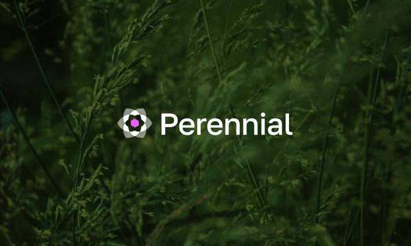 Perennial 推出全新意图层 Intent Layer，助力解决 DeFi 流动性碎片化难题
