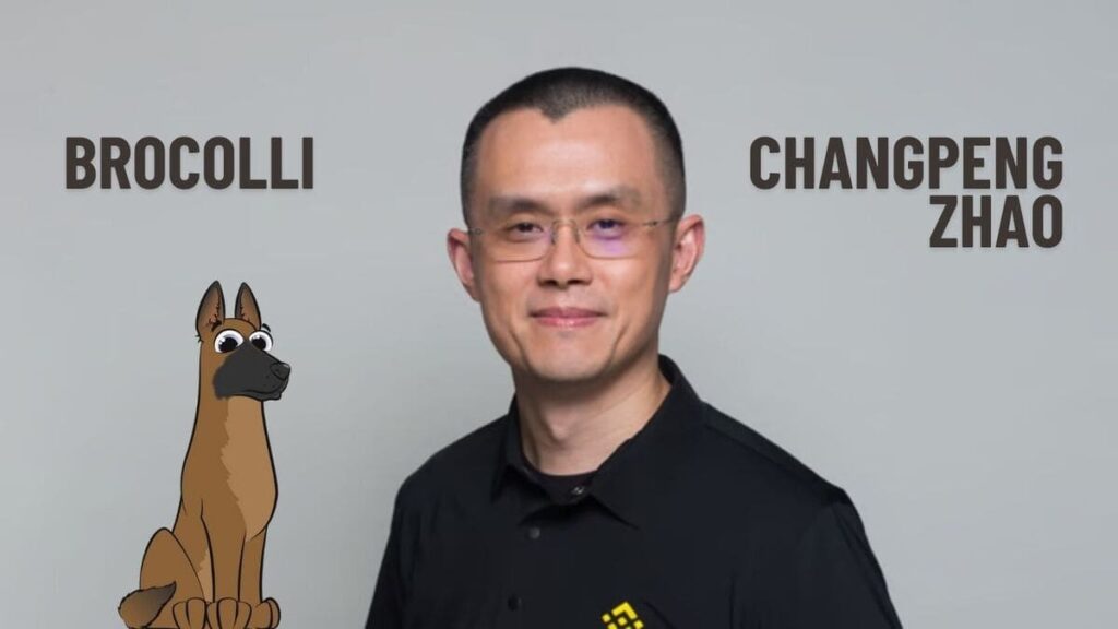 새로운 $BROCCOLI, 30분 만에 5천만 달러 기부 달성…기부가 촉발한 '브로콜리 대전' 되돌아보기
