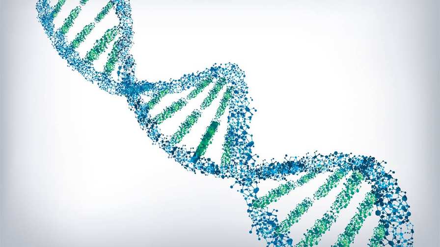 DNA