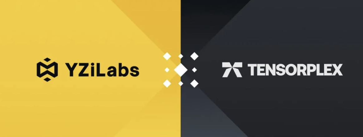 Một ngày tăng 500%, hiểu thế nào về Tensorplex Labs được Yzi Labs đầu tư?