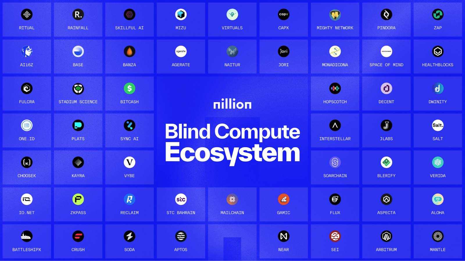 The mainnet is about to be launched. What is special about Nillion, a blind computing network that has received  million in financing?