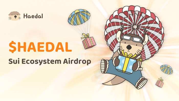 Analyzing Haedal Protocol: The top contender in Sui's liquid staking race, dominating competitors in TVL