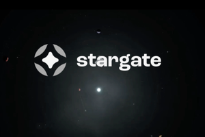 Why do institutions favor Stargate?