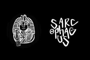 Decentralized dead man's switch application Sarcophagus raised $3.67 million by selecting investors through a DAO vote.