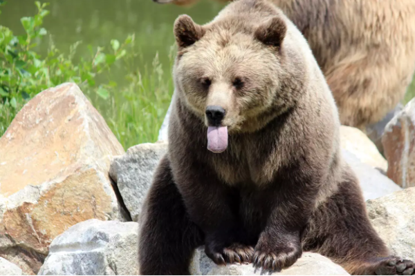 Crypto KOL: What assets am I holding during this bear market, and why do I believe they can survive both bear and bull cycles?