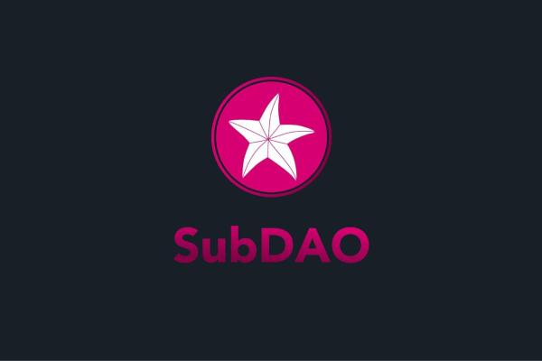 数十家机构投资,WEB3.0入口,SubDAO有何过人之处?