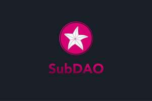 Hơn 30 tổ chức đầu tư, cổng vào Web3.0, SubDAO có điểm gì nổi bật?