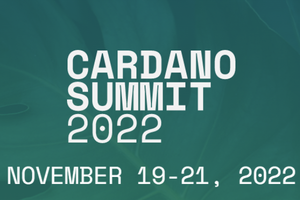 Cardano 开启下半场征途，「房间里的大象」如何打造自己的智能合约时代？