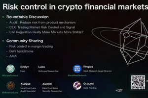 Risk, Innovation, Regulation, and the Future of Web3